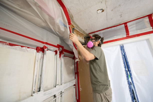 Best Mold Documentation for Insurance Claims  in Fort Pierre, SD