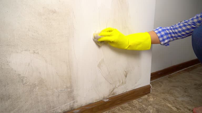 Best Air Quality Testing for Mold Spores  in Fort Pierre, SD