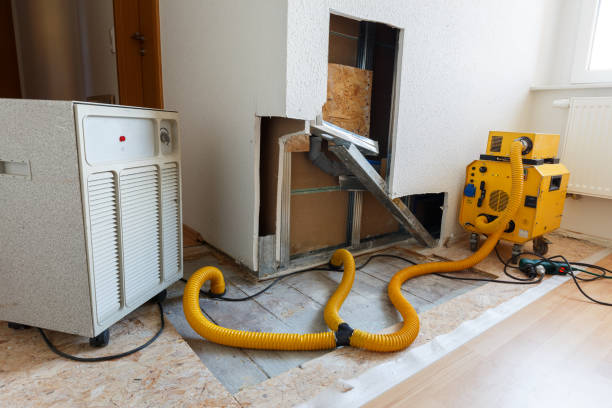 Best Mold Prevention Services  in Fort Pierre, SD