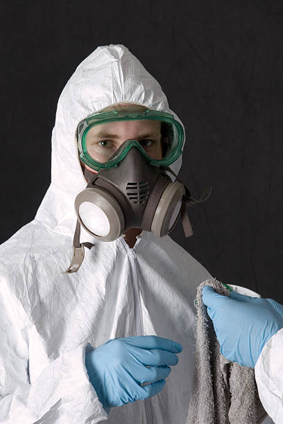 Best Black Mold Removal  in Fort Pierre, SD